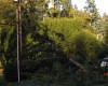 More than 30,000 Snohomish PUD customers were without power after a windstorm blew through Western Washington on Sunday.  (Snohomish PUD)