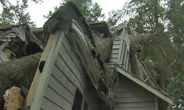 A tree crash through a home in Western Washington during a windstorm that left thousands in the dark. (KIRO 7)