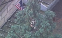 Emergency crews are working to get a man out of a tall tree in downtown Seattle. (KIRO 7)