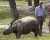 Britain's Prince William and his wife Kate, the Duchess of Cambridge lok at a baby Rhino at the Centre for Wildlife Rehabilitation and Conservation (CWRC), at Panbari reserve forest in Kaziranga, in the north-eastern state of Assam, India, April 13, 2016. Prince William and his wife, Kate, planned their visit to Kaziranga specifically to focus global attention on conservation. The 480-square-kilometer (185-square-mile) grassland park is home to the world's largest population of rare, one-horned rhinos as well as other endangered species including swamp deer and the Hoolock gibbon. (Adnan Abidi/ Pool photo via AP)