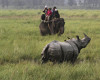 FILE - In this Nov. 1, 2013 file photo, tourists on an elephant watch a one-horned rhinoceros inside the Kaziranga national park, about 250 kilometers (155 miles) east of Gauhati, India. With the Duke and Duchess of Cambridge set to visit the world’s largest one-horn rhino park in remote northeastern India, conservationists hope the British royals can help raise global alarms about how black-market demand for rhino horns and other animal parts is fueling illegal poaching and pushing species to the brink. (AP Photo/Anupam Nath, File)