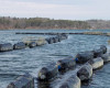 In this photo taken Thursday, March 31, 2016, cages containing oysters float on the Damariscotta River in Walpole, Maine. Mook Sea Farm and the University of New Hampshire are working together to monitor and adapt to changes in water chemistry caused by climate change. Mook is now pushing for expanding such monitoring to the rest of the Maine coast so others can better mitigate and adapt to the impacts of climate change. (AP Photo/Holly Ramer)