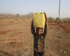 In this April 12, 2016 photo, a boy who migrated from drought hit areas of the western Indian state of Maharashtra, carries water to his family's makeshift hut in Kukse Borivali, 85 kilometres (53 miles) north-east of Mumbai, India. Decades of groundwater abuse, populist water policies and poor monsoons have turned vast swaths of central and western India into a dust bowl, driving distressed farmers to suicide or menial day labor in the cities. (AP Photo/Rafiq Maqbool)
