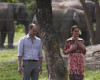 Britain's Prince William and his wife Kate, the Duchess of Cambridge walk at the Centre for Wildlife Rehabilitation and Conservation (CWRC), at Panbari reserve forest in Kaziranga, in the north-eastern state of Assam, India, April 13, 2016. Prince William and his wife, Kate, planned their visit to Kaziranga specifically to focus global attention on conservation. The 480-square-kilometer (185-square-mile) grassland park is home to the world's largest population of rare, one-horned rhinos as well as other endangered species including swamp deer and the Hoolock gibbon. (Adnan Abidi/ Pool photo via AP)