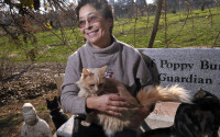In this Dec. 17, 2015 photo, Lynea Lattanzio, founder of Cat House On The Kings, holds one of her cats in Reedley, Calif. Lattanzio has turned her twelve acre, four-thousand square foot ranch home into what's believed to be the largest no-cage cat sanctuary and adoption center in the U.S. Lattanzio spent her entire retirement fund on her pet project, which also relies on donations. (Eric Paul Zamora/The Fresno Bee via AP) LOCAL PRINT OUT (VISALIA TIMES-DELTA, REEDY EXPONENT, KINGBURG RECORDER, SELMA ENTERPRISE, HANFORD SENTINEL, PORTERVILLE RECORDER, MADERA TRIBUNE, THE BUSINESS JOURNAL FRENSO); LOCAL TELEVISION OUT (KSEE24, KFSN30, KGE47, KMPH26); MANDATORY CREDIT