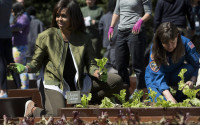 First lady Michelle Obama and NASA astronaut Cady Coleman plant vegetables during the eight annual White House Kitchen Garden planting on the South Lawn of the White House in Washington, Tuesday, April 5, 2016. (AP Photo/Pablo Martinez Monsivais)