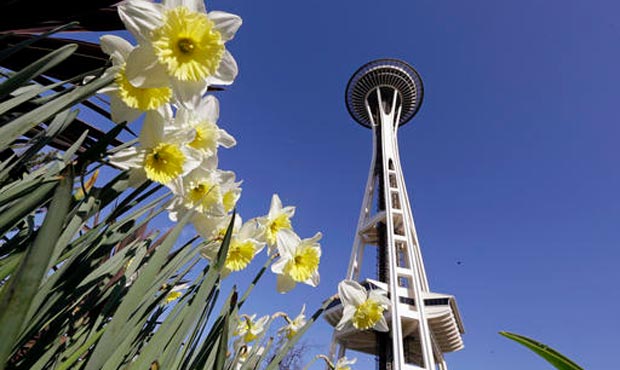 seattle gentrification, space needle...