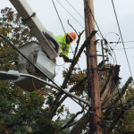 Seattle City Light: Here's a look at our crew removing a tree from power lines near 44th Ave SW & SW Rose St.