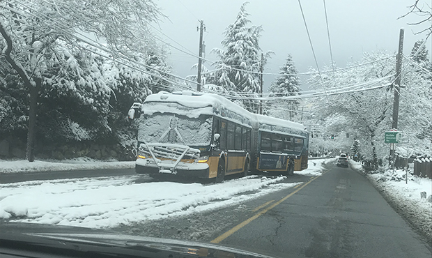 Snow Seattle, king county bus...