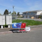 The City of Renton has passed an ordinance that will fine shop owners when their shopping carts are taken and abandoned all over town. (City of Renton)