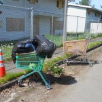 The City of Renton has passed an ordinance that will fine shop owners when their shopping carts are taken and abandoned all over town. (City of Renton)
