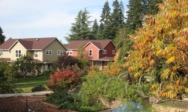 A view of the garden and a few houses at Songaia in Bothell....
