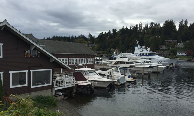 Meydenbauer Bay Whaling Fleet Proves There Are Old Things In Bellevue