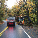 King County Road Services:  Our crews are busy keeping debris off the roadway.