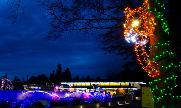 Seattleholidays-zoolights