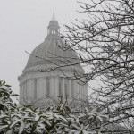 
              Snow is seen falling outside the Washington state Capitol on Thursday, Dec. 8, 2016 in Olympia, Wash. Other areas that saw snow in the Pacific Northwest included Vancouver, Wash. and Portland, Oregon. (AP Photo/Rachel La Corte)
            