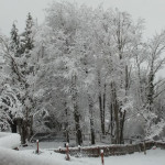 Snow continued to fall in Snoqualmie Monday morning. (Kim Shepard/KIRO Radio)