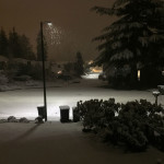 It's snowing in Seattle. (Matt Pitman)