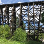 The Wilburton Trestle was originally built in 1904 and is a distinctive landmark on the edge of downtown Bellevue.  (Feliks Banel)