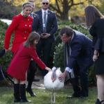 Ivanka Trump walks with her children, Joseph and Arabella Kushner, to meet Drumstick during the National Thanksgiving Turkey Pardoning Ceremony in the Rose Garden of the White House, Tuesday, Nov. 21, 2017, in Washington. (AP Photo/Evan Vucci)