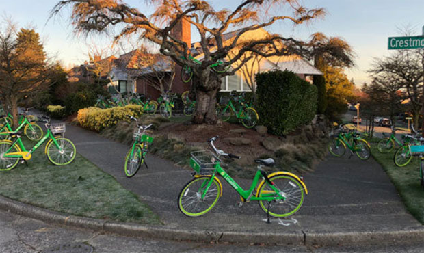 limebike...