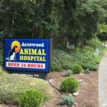 The Aerowood Animal Hospital was named by Dr. Donald Kalps in 1976 for its proximity to Bellevue Airfield and the Robinswood neighborhood; in 1980, the airport began shutting down. (Feliks Banel)