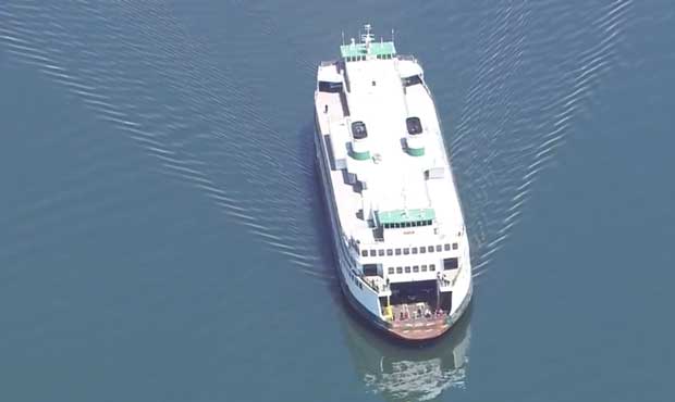 can we take dogs on bremerton ferry