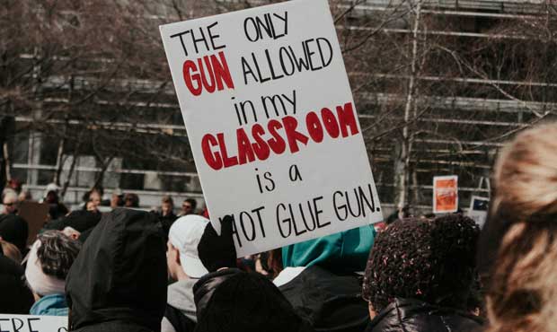 gun, firearm, guns, education...