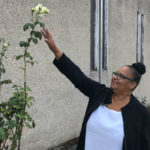 Rose  bushes  and  other  flowers  once  flourished  at  Walker  Chapel  AME  Church  in  Seattle’s  Central  District;  church  neighbor  Stephanie  Johnson-Toliver  examined  what’s  left  of  the  rose  bushes  earlier this month.  (Feliks  Banel) 