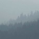 Layered treelines are seen through smoke-filled air, Wednesday, Aug. 15, 2018, at Snoqualmie Pass in Washington state. Public-health officials continued to warn of unhealthy air across many parts of the Pacific Northwest as wildfires sent thick smoke across the region, and the National Weather Service issued an air quality alert for much of Central and Eastern Washington and northern Idaho through Wednesday. (AP Photo/Ted S. Warren)