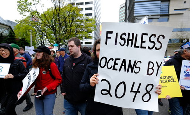 Climate change protest...