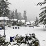Snow in Bellevue on Monday. (Matt Pitman, KIRO Radio