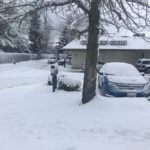 Snow in Everett. (Hanna Scott)