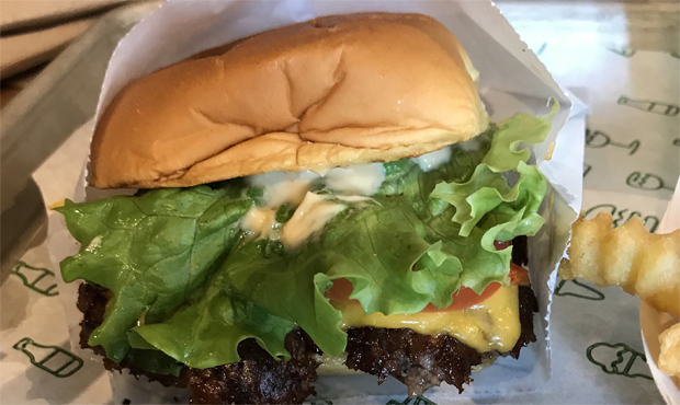 Shake Shack burger review...