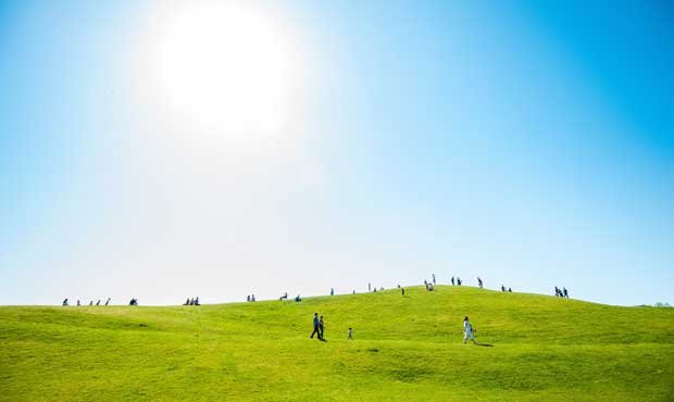 seattle, gasworks, vitamin d...