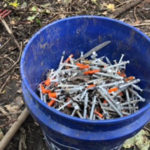 The five gallon bucket of needles Christian cleaned up. (Christian Koontz)