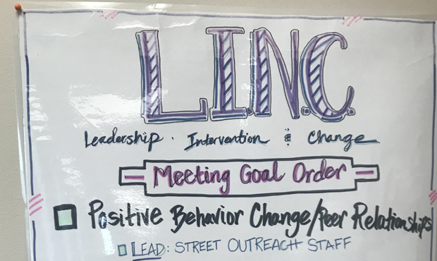 LINC juvenile offenders...