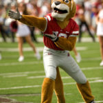 The costumed Butch the Cougar, from 2009. (WSU Photo Services)