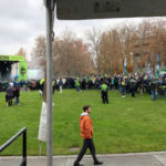 Sounders fans gather at Seattle Center. (KIRO 7)