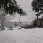 KIRO 7’s Morgan Palmer: Another Feb. ’19 snowstorm could be on way

For Northwesteners, it’s hard to forget the February 2019 snowstorm that blanketed the Puget Sound for two weeks.
 Read more.
