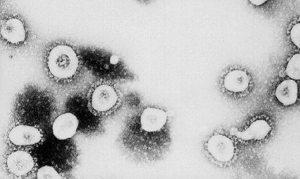 Coronavirus, CDC seattle, Inslee tweet...