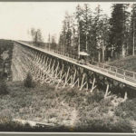A wooden trestle carried Yesler Cable Cars 500 feet across a ravine, from roughly Yesler and 32nd Avenue East, on the side of the hill, to Leschi on Lake Washington. (MOHAI)