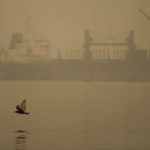 SEATTLE, WA - SEPTEMBER 12:  A seagull flies by a cargo ship as smoke from wildfires fills the air at Elliott Bay on September 12, 2020 in Seattle, Washington. According to the National Weather Service, the air quality in Seattle remained at "unhealthy" levels Saturday after a large smoke cloud from wildfires on the West Coast settled over the area. (Photo by Lindsey Wasson/Getty Images)