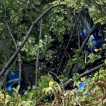 The cab of the trailer ended up in trees and bushes below the express lanes. (Trooper Rick Johnson, Twitter)