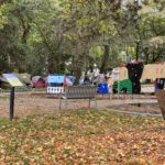 Seattle homelessness has exploded, made worse by a Seattle City Council ad Mayor's office that stay silent. This is at Denny Park in South Lake Union (Photo: Jason Rantz).