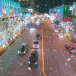 Snowflake Lane gets Seahawks spirited. (Photo courtesy of the Bellevue Collection) 