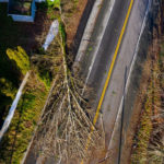 A downed tree across a road in Kent. (City of Kent)
