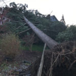 A tree comes down on a house in Marysville. (Marysville Fire District)