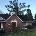 An overnight windstorm saw trees land on several houses across the region. (Marysville Fire District)