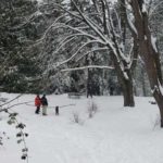 David Rodgers Park in Seattle. (Brent Stecker)